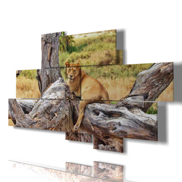 paintings of lion in relaxation