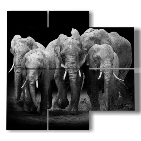 tableau avec des éléphants en troupeau