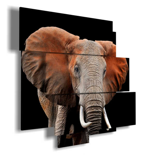 painting with colorful elephant images