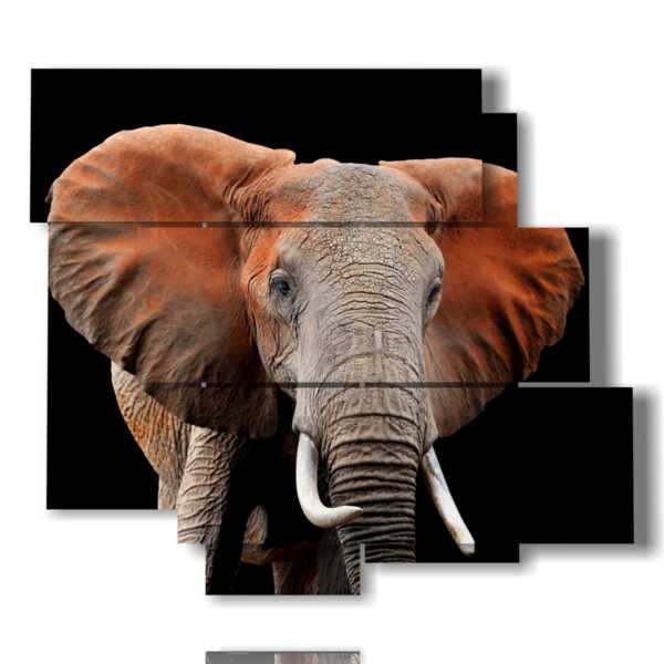 painting with colorful elephant images