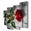 pictures paintings red roses