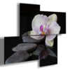 Orchidea e sassi - quadro moderno zen con orchidee per bagno spa centro  benessere stampa su tela 152 x 78 cm