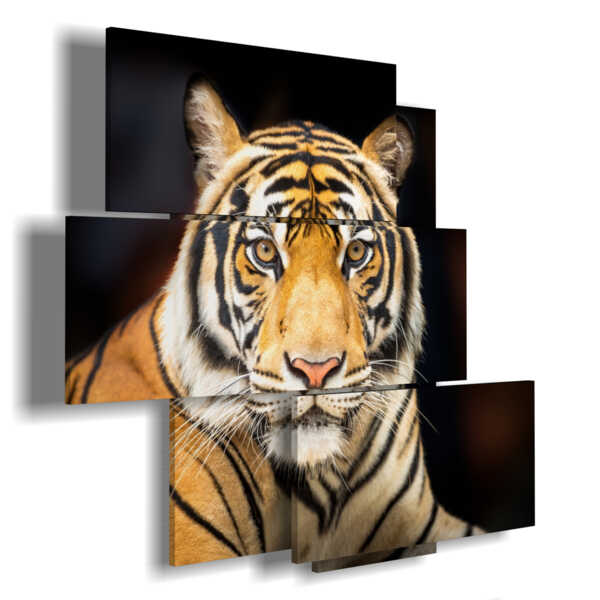 Quadri Moderni Soggiorno 3d 50x70cm Arte murale Moderni Quadri su tela  Animale Tiger Reflection Poster da parete Quadro per la Decorazioni della  parete del soggiorno : : Casa e cucina